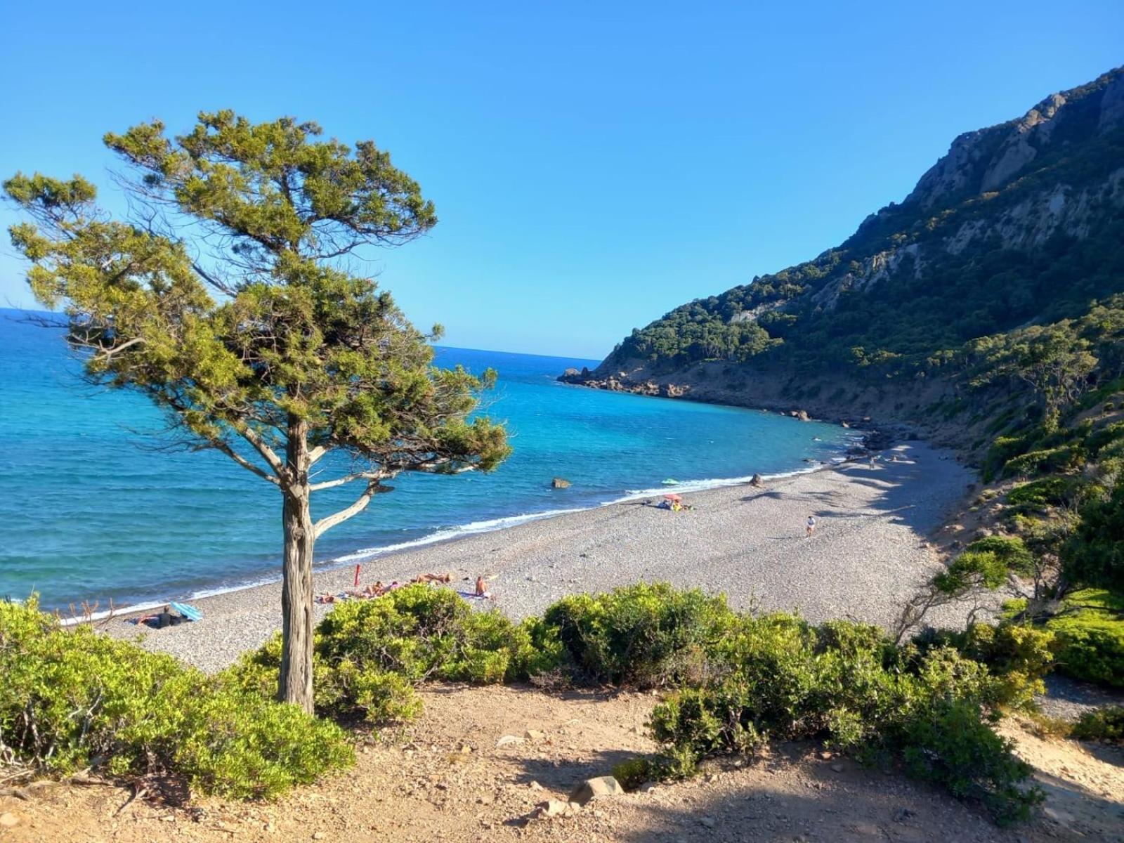 Villa With Pool Cardedu Εξωτερικό φωτογραφία