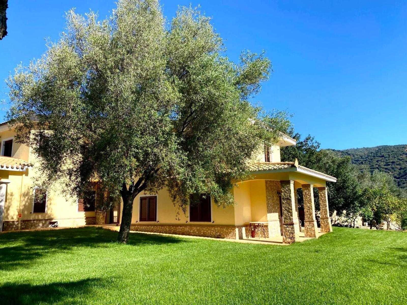 Villa With Pool Cardedu Εξωτερικό φωτογραφία